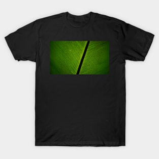 Lines of Leaf Spores T-Shirt